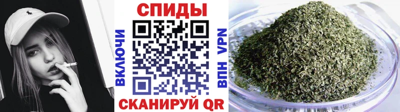 блэк спрут маркетплейс Армавир Бутират буратино