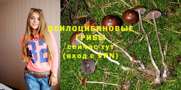 альфа пвп Богданович