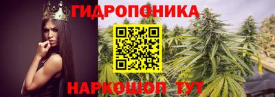 PSILOCYBIN Партизанск
