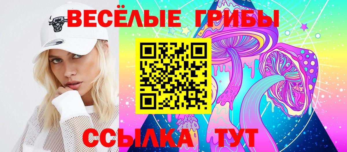 Псилоцибиновые грибы MAGIC MUSHROOMS  Вход с VPN  Армавир 