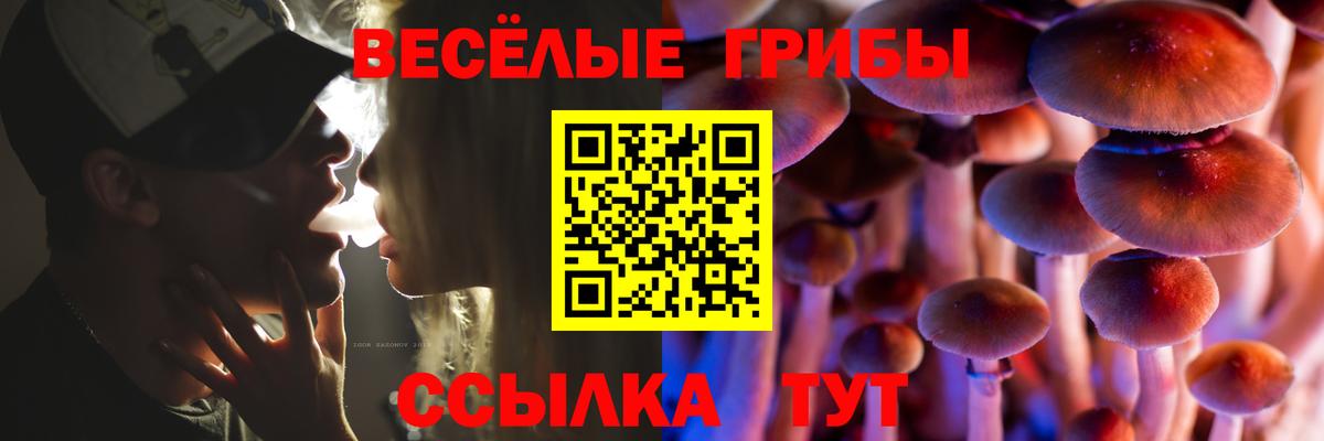 Галлюциногенные грибы Psilocybine cubensis Армавир