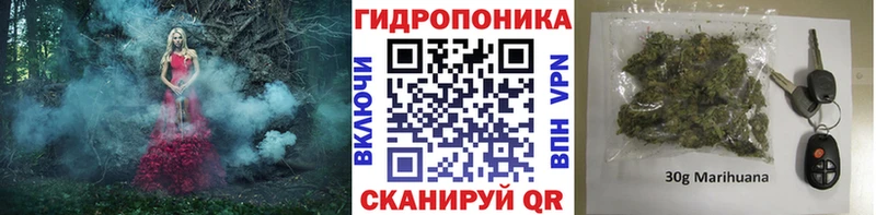 ссылка на мегу ссылка  Армавир  Канабис Amnesia  что такое  